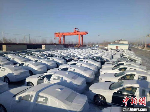 哈铁商品汽车运输新线累计发运突破5000台